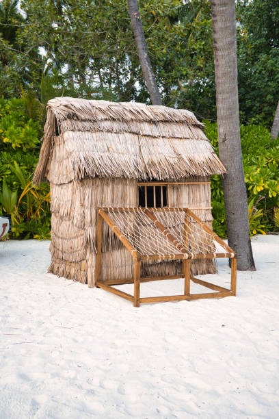 istock A small hut made of straw and wood sits on a sandy beach 2189891349