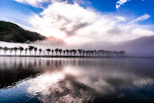istock Swan on the Lake 2189892775