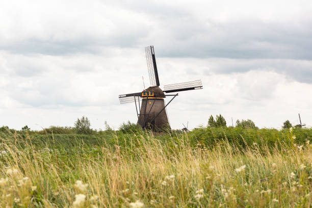 Low angle shot of a windmill, meadow in the foreground. Cloudy day in Kinderdijk in the Netherlands during summer.