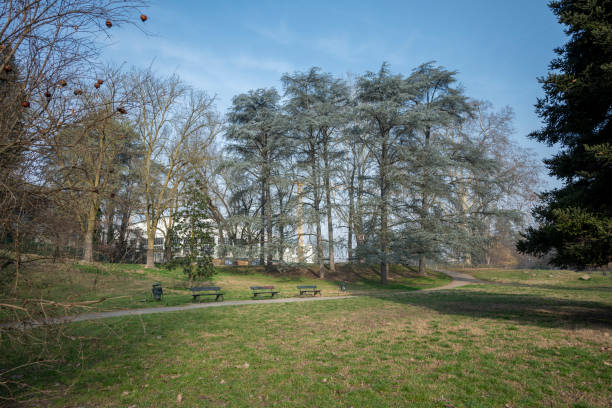 Torino, Italia. Panorama del parco pubblico del Valentino.