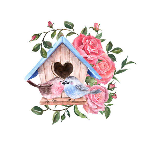 Romantic watercolor card with two lovely birds sitting on bird house, and beautiful roses branch, isolated on white background. Spring floral illustration, Valentines day theme.
