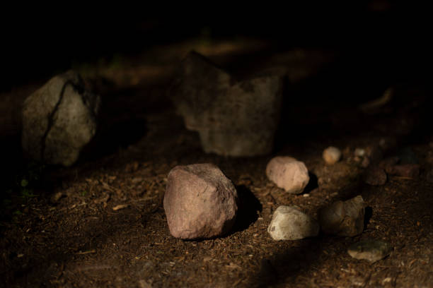 Stones in the forest. Beautiful stones standing on the ground. Natural objects. Details of nature.