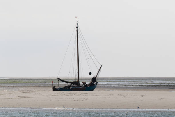 Botter Pics 110+ Botter Stock Photos, Pictures & Royalty-Free Images - iStock