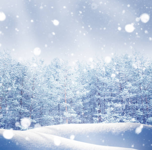 istock Landscape. Frozen winter forest with snow covered trees. 2189920993
