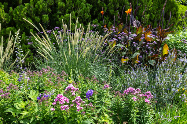 istock Beautiful scene in summer wild garden. 2189924505