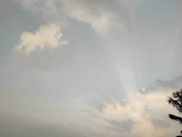 istock Beautiful sword shaped dusk and dawn clouds visible above coconut palm tree 2189926952