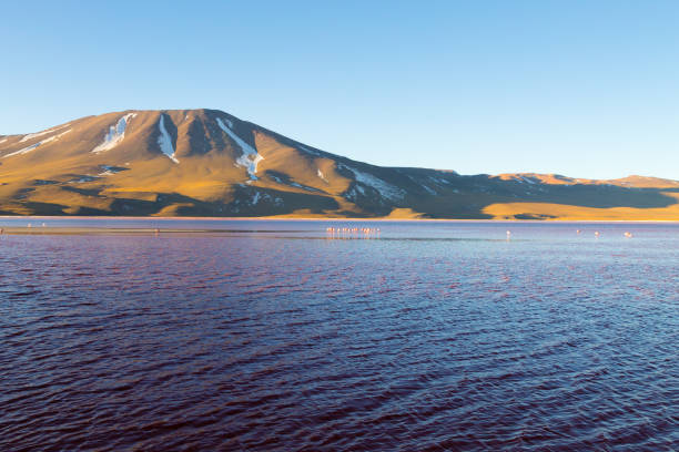 istock Laguna Colorada view, Bolivia 2189927876