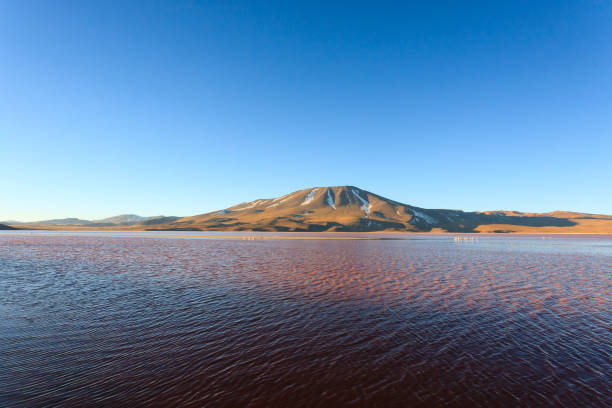 istock Laguna Colorada view, Bolivia 2189927935