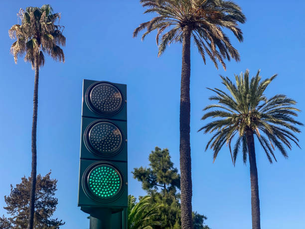 Low angle view of a stoplight with green light in front of palm trees in the city of Valencia, Spain