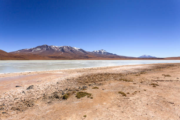 istock Laguna Hedionda view, Bolivia 2189928803