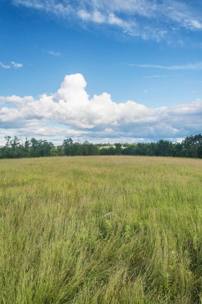 istock Apple Hill Morris connecticut landscape 2189929110
