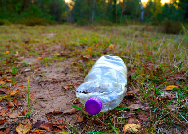istock Plastic bottle thrown away in forest. Garbage in nature, reusable products. 2189930197