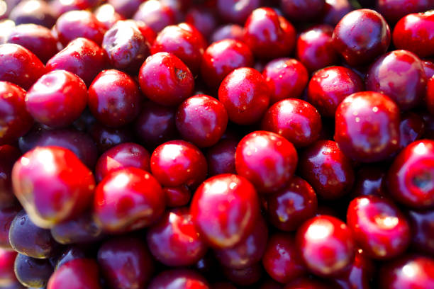 Cherry background, texture. Lots of cherries, top view. Cherry for background and screensaver. Cherry berry wallpaper, background. Bunch of red cherries.