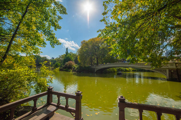 The Gapstow Bridge in Central Park, Manhattan. NYC, USA.