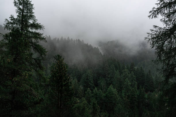 istock mountain landscape in misty and cloudy conditions. 2189932938