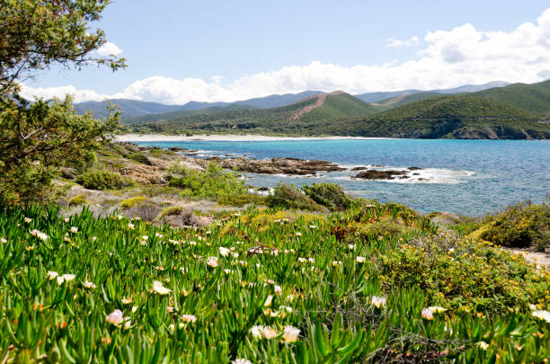 Elevated view of rugged coastline, beach and sea, Corsica