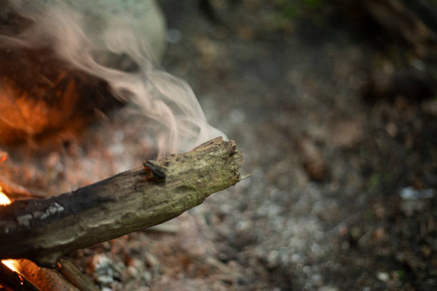 Smoking stick in the fire. Smoke from combustion. Bonfire in the forest.