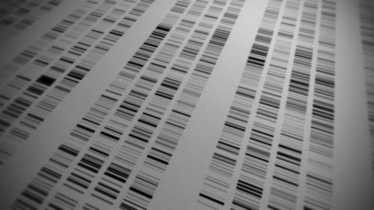 DNA sequence analysis and profiling