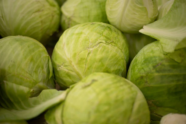 Cabbage on the market. Green cabbage leaf. Healthy food. Vegetables in the store.