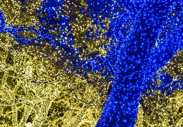 Twinkling lights around tree trunks and branches each Christmas in Johnson City, Texas