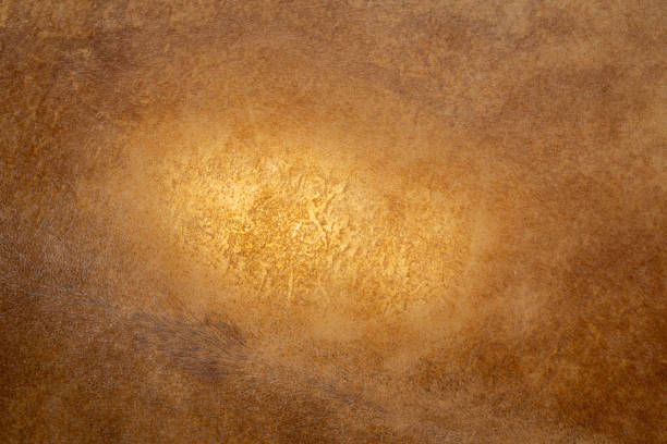 texture of a goat skin on a  shaman frame drum with backlight