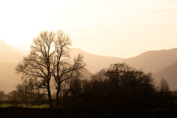 istock Lovely Autumn sunset landscape image looking towards Grisedale Pike from Castlerigg Stone Circle with stunning golden glow 2189947208