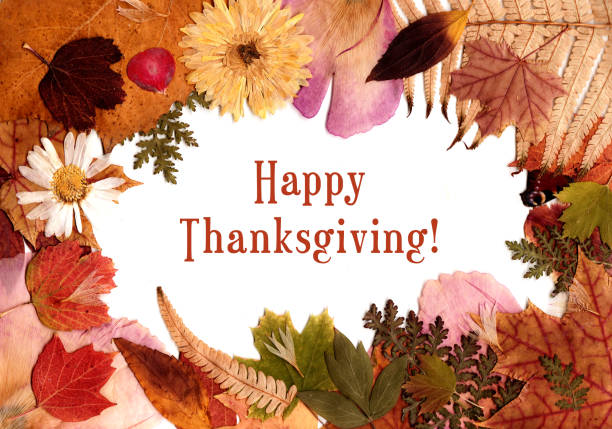 A frame made of dry leaves, petals, and butterfly wings on a white background, top view with copy space. Autumn composition. Thanksgiving holiday greeting card. Raster illustration in high resolution.