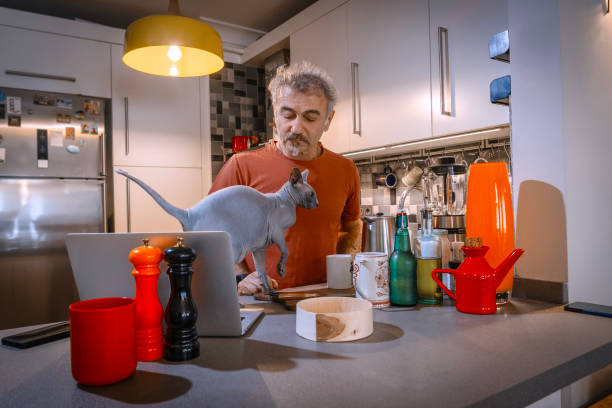 istock Curious sphynx cat walking on kitchen counter with man working on laptop 2189951273