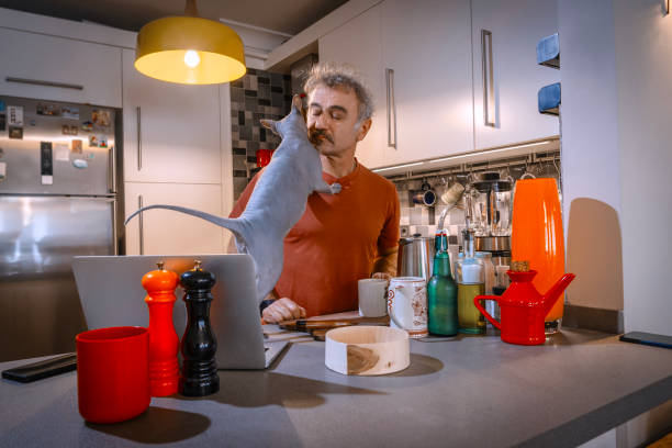 istock Sphynx cat kissing man working from home in kitchen 2189951315