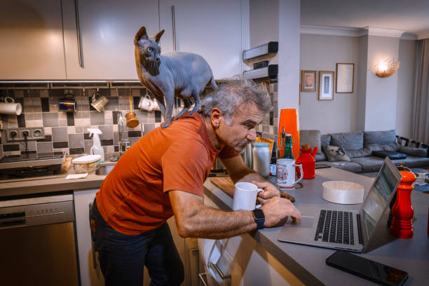 istock Mature man working from home with cat on shoulders in kitchen 2189951390