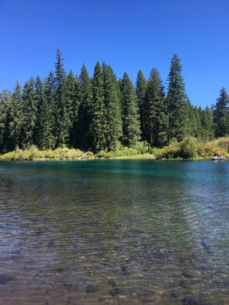 istock Clear Lake with Forested Shoreline Under Blue Sky 2189951765