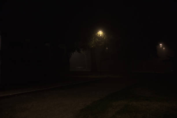 Night foggy park and lights.
