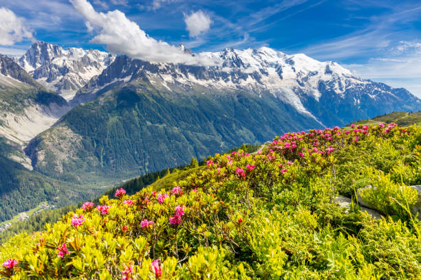 istock Mont Blanc, Monte Bianco mountain summit in the Alps 2189959029