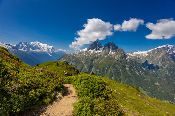 istock Mont Blanc, Monte Bianco mountain summit in the Alps 2189960879