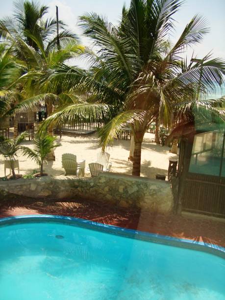 Green wooded area. Garden and pool.