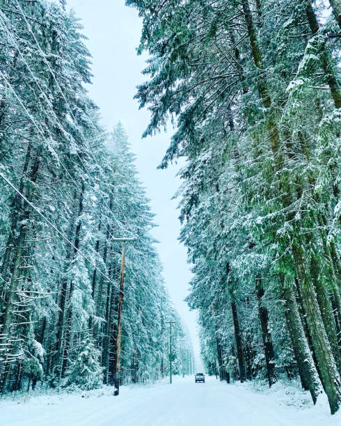 istock Snowy winter wonderland 2189961297