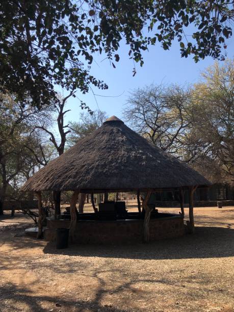 istock An african hut into the Hlane royal park, in Eswatini 2189961471