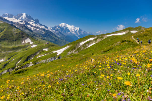 istock Mont Blanc, Monte Bianco mountain summit in the Alps 2189962520