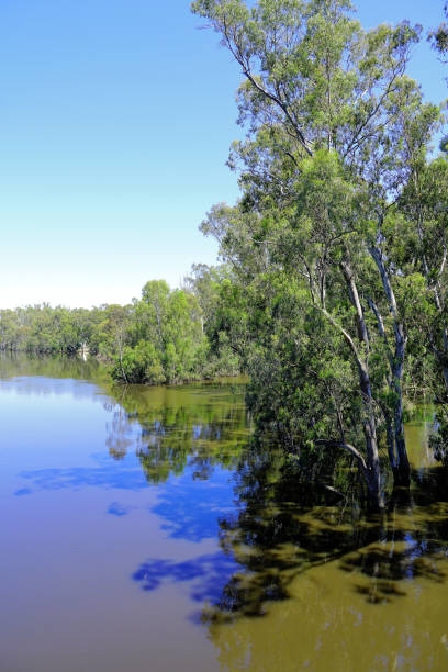 istock Echuca, Northern Country, Victoria, Australia 2189966418