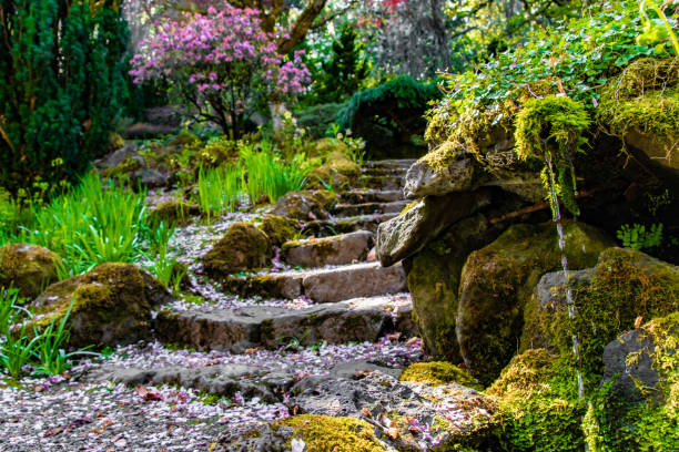 Peaceful Garden Staircase and Waterfall in Oregon