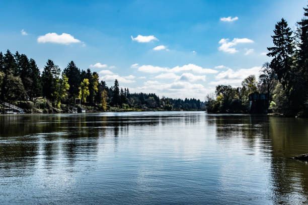 istock Forest and Shoreline Along Willamette River in Portland, Oregon 2189972494