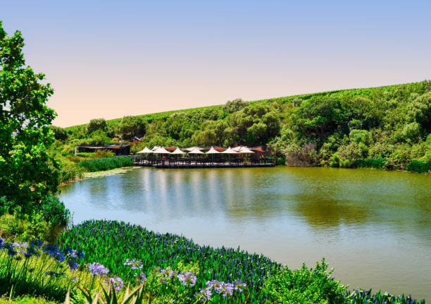 Jonkershoek landscape at stellenbosch, South africa