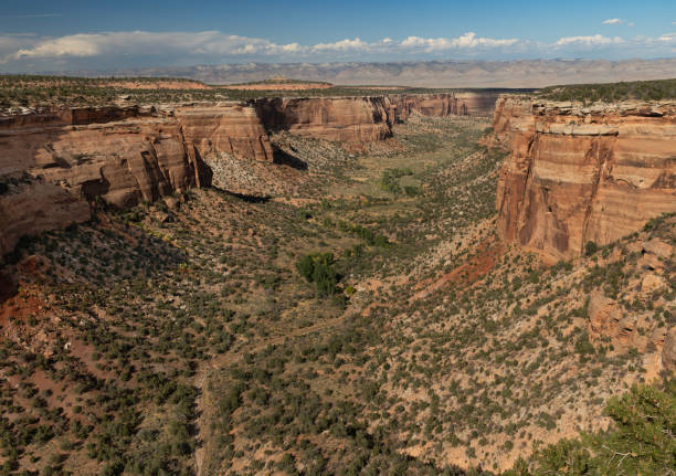 istock Red Canyon, Colorado National Monument 2189982495