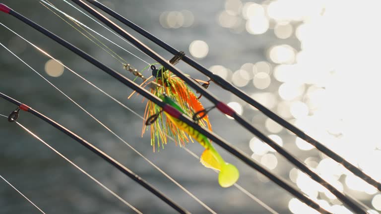 Focus shift from fishing rod lines with plastic lures to blur background at sun set. Macro close up to Jig head with paddle tail soft lures worm and Perch shad swimbait Minnow. Slow motion on the wind