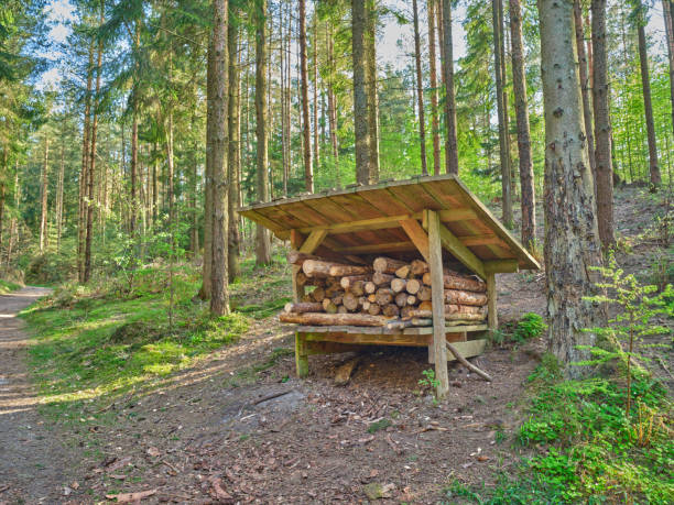 Firewood Shed with firewood stacked outside. Woodpile of pine trees.