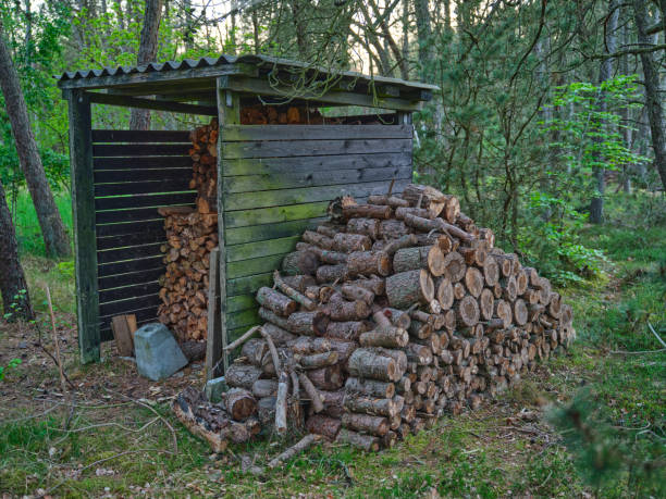 istock Firewood shed with firewood in front 2189985875