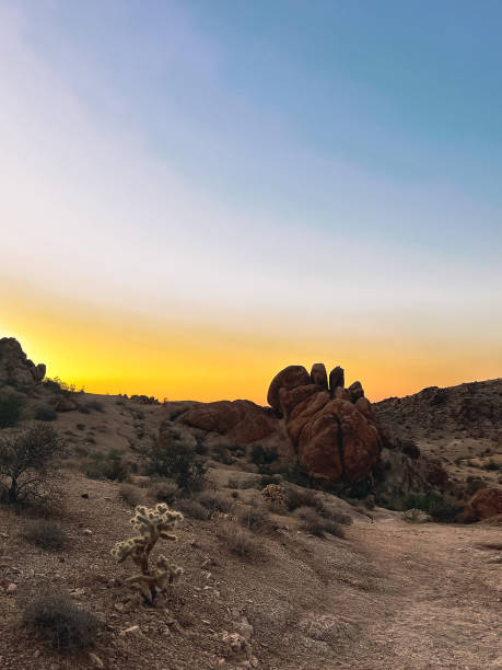 istock Sunset in Joshua Tree national park 2189990390
