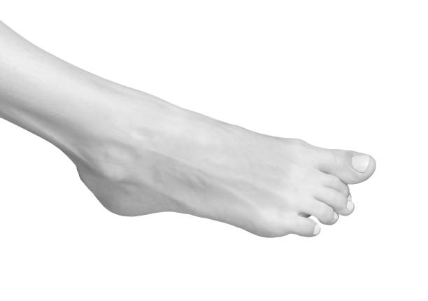 Barefoot foot with curled toes and tense ankle in a curved, stressed position. Beautiful, feminine model showcasing smooth skin, pedicure, and skincare. Healthy posture and body,