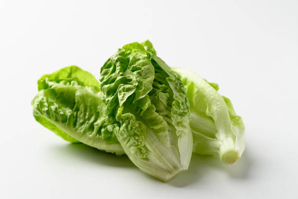 istock Baby cos lettuce romaine on white background, Fresh vegetable 2189993868