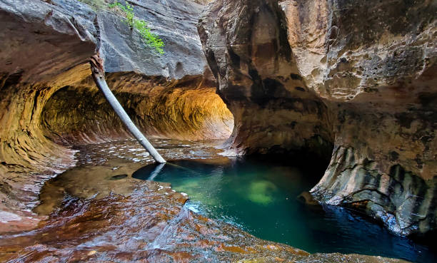 Left Fork ( Subway) beautiful  hike in Zion National Park, Utah. Autumn Waterfall